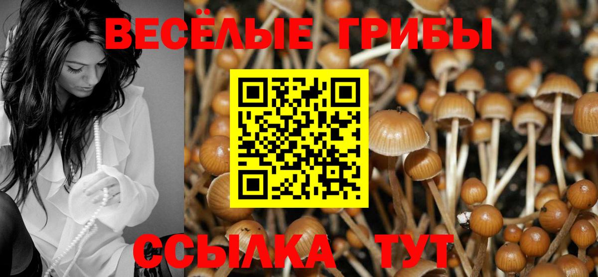 Галлюциногенные грибы GOLDEN TEACHER  Вход с VPN  Галлюциногенные грибы Magic Shrooms  Сорочинск 