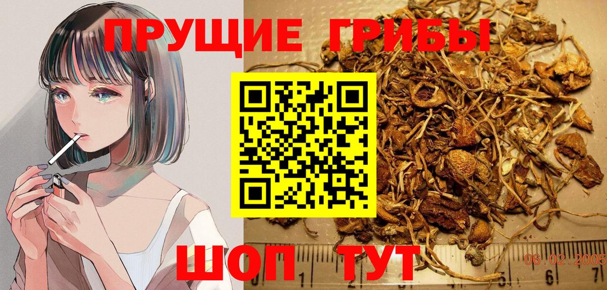 Псилоцибиновые грибы GOLDEN TEACHER Сорочинск